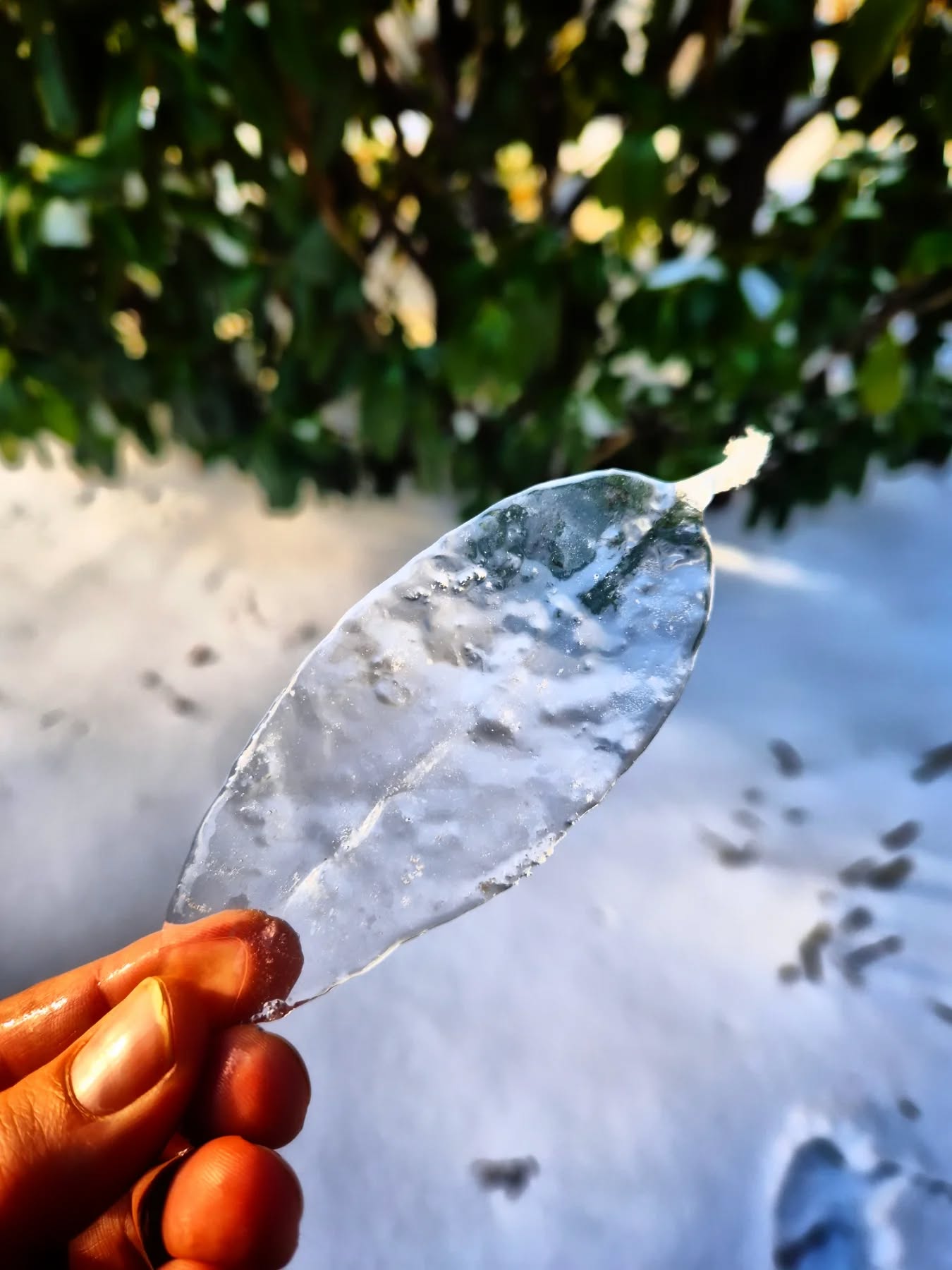 Gestern beim Schneespaziergang. Einfach vom Blatt gelöst... 🙂🙂